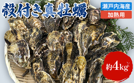 牡蠣 殻付き 加熱用 約4kg 旬にお届け! 姫路産 1年牡蠣 真牡蠣 かき 生牡蠣 生カキ 生かき 魚介類 魚介 海鮮 海の幸 兵庫県 2024年1月中旬以降順次発送予定