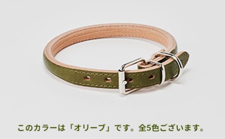 good collar 5号[犬 猫 首輪] アカネ