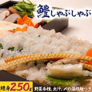 債ԂԁY̘@˂yzsnFEkCEꌧEkE֓EBzy1227185z