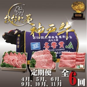 [発送月固定定期便]A5 おおた蔓 神戸牛(神戸ビーフ) それは選ばれし希少な一頭全6回[配送不可地域:離島]
