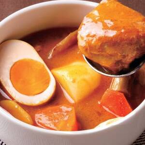 兵庫の恵みと園田学園大学のコラボ商品!「百日どりが恋におちる魅惑の和風スープカレー」 2個セット