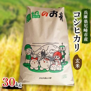 令和4年産兵庫県尼崎市産コシヒカリ玄米30kg【1272554】のレビュー