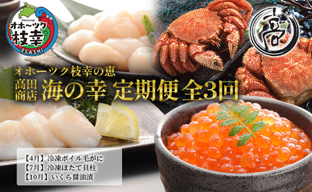 オホーツク枝幸の恵 高田商店 海の幸 年3回定期便 【 魚貝類 サーモン 鮭 いくら 魚卵 帆立 ホタテ 北海道 】