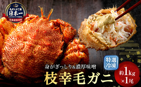 【漁獲量日本一】至福の逸品！特選冷凍「枝幸毛がに」約1kg×1尾 毛蟹 毛ガニ オホーツク 北海道加工食品 地域のお礼の品 カタログ 毛カニ