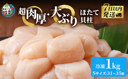 枝幸の四季 超肉厚大玉ほたて冷凍貝柱1kg（Sサイズ：31～35粒）【枝幸ほたて】枝幸海産 北海道 冷凍 貝柱 刺身 大 魚介 海 オホーツク 帆立 年越し 贈答 贈り物 ギフト魚貝類 たらこ