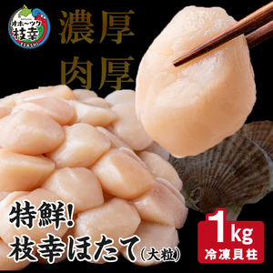 特鮮！枝幸ほたて（大粒）冷凍貝柱1kg（S～2Sサイズ）秋田水産 刺身 魚介 帆立 北海道 超目玉