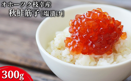 オホーツク枝幸産 秋鮭 筋子300g[塩漬け]山上佐藤水産 [ 魚貝類 いくら 魚卵 北海道 オホーツク 枝幸 ]