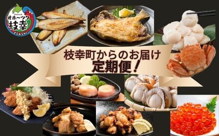 〜北海道枝幸町からのお届け まるごと堪能品! 定期便6〜[ ホタテ ステーキ いくら 醤油 大粒 冷凍 ほたて めじか鮭 切身 など ]