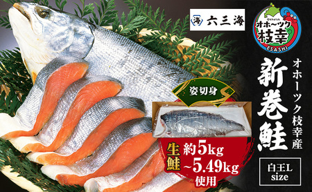 [数量限定]オホーツク枝幸産 ブランド新巻鮭「白王L size」(姿切身生約5kg〜5.49kg)手切り加工[ 鮭 サケ 切身 北海道 オホーツク 枝幸 ]