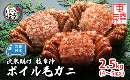 〈冷蔵発送〉流氷明け 枝幸沖 ボイル毛ガニ 2.5kg (4～5尾入) 先行予約【2026年3月頃発送予定】旬の味覚［丸中三興水産］オホーツク枝幸 前浜【 蟹 カニ かに 毛ガニ 冷蔵 チルド 獲れたて 茹でたて 浜茹で 海鮮 魚貝 魚介 北海道 枝幸 】