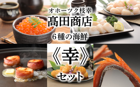 オホーツク枝幸の恵 高田商店《幸》セット魚貝類 帆立 ホタテ 魚貝類