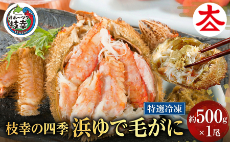 枝幸の四季 浜ゆで毛がに 約500g×1尾[枝幸海産]流氷 海明け[ カニ 蟹 毛ガニ 毛がに 毛蟹 浜ゆで 浜茹で 冷凍 北海道 オホーツク 枝幸 ]