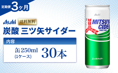 Y_  3 OcTC_[ 250ml × 30{ ( 1P[X )   Y_ ݕ hN W[X ʃW[X Oc TC_[ ܂Ƃߔ   P[X ~cTC_[  AT