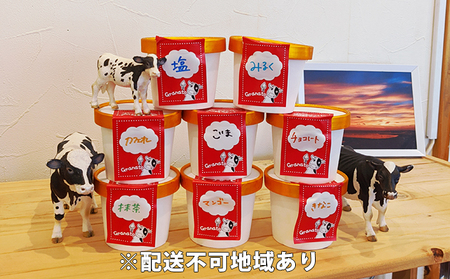 牧場直営「ぐらなーと」の ジェラート 12個セット お菓子