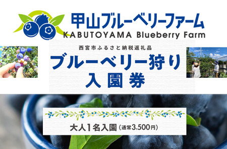 甲山ブルーベリーファーム ブルーベリー狩り入園券(大人1名)