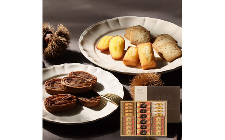 yAEVpeBG tBiVFzAEZ]ERNV@M{bNX@HYM-40N2 tBiVF