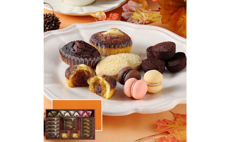 yGߌzV[L[ueB~XEt@^WX^@M@CAS(TF)-40