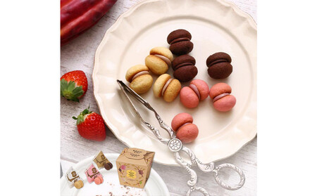 [シーキューブ]サクッチ・ホロッチ 12個入