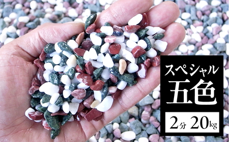 スペシャル 五色 2分 (6〜9mm) 20kg 袋 庭石 砂利 石材 ガーデニング DIY 兵庫県 洲本市 淡路島