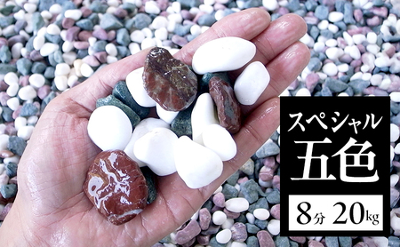 スペシャル 五色 8分 (20〜30mm) 20kg 袋 庭石 砂利 石材 ガーデニング DIY 兵庫県 洲本市 淡路島