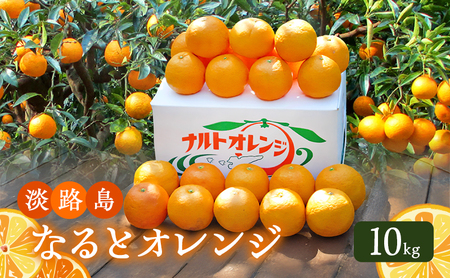 WH Ȃ IW 10kg ȂƃIW t[c ʕ t { Ɍ F{s