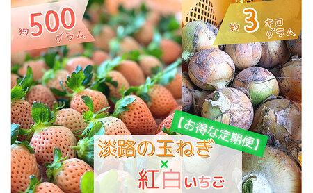 [先行受付/定期便]旬の味覚がいろいろ届く◎[淡路島産]玉ねぎ(3kg)と紅白イチゴ(500g)の贅沢セット! 兵庫県 洲本市 淡路島