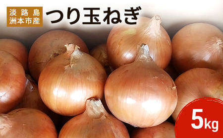 ふれあい市の会 つり玉ねぎ 5kg 淡路島 玉ねぎ タマネギ 兵庫県 洲本市 淡路島