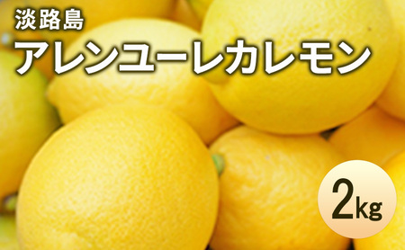 WH A[J 2kg EG  ʕ t[c G߂̉ʕ Ɍ F{s WH