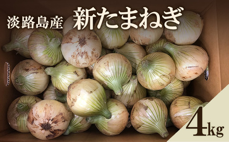 淡路島産 新たまねぎ4kg 新玉ねぎ タマネギ 甘い 兵庫県 洲本市 淡路島