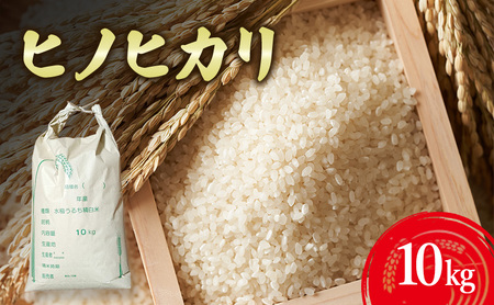 qmqJ 10kg     Ɍ F{s WH