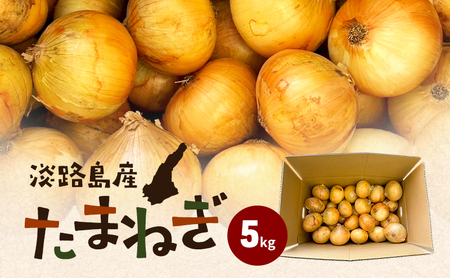 淡路島産たまねぎ 5kg 玉ねぎ タマネギ 甘い 兵庫県 洲本市 淡路島