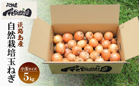 淡路島産 栽培期間中 無肥料・無農薬・自然栽培玉ねぎ 小玉サイズ 5kg 兵庫県 洲本市 淡路島