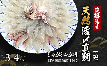 WHY VR Y ^ C Ԃԗp 3`4lO ƐZko`t Ԃ   CN Ɍ F{s WH