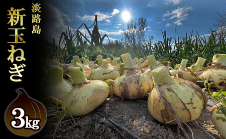 栽培期間中農薬不使用の淡路島新玉ねぎ3kg 新玉ねぎ 玉ねぎ タマネギ 野菜 旬の野菜 季節の野菜 兵庫県 洲本市 淡路島