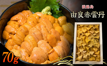 淡路島 由良赤雲丹 1枚 兵庫県 洲本市 淡路島