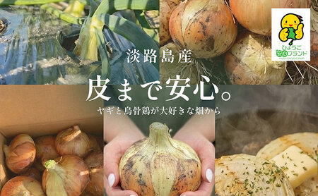 淡路島産「皮まで安心。」玉ねぎ5kg 兵庫県 洲本市 淡路島