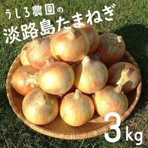 淡路島の玉ねぎ 3kg 中生 玉ねぎ たまねぎ 玉葱 オニオン 野菜 甘み コク 旨み 炒め物 カレー 肉じゃが ステーキ スープ 煮物 ハンバーグ 旬 兵庫県 洲本市 淡路島