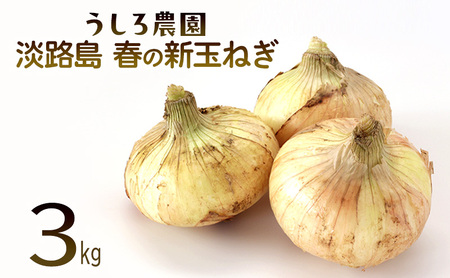 淡路島 春の新玉ねぎ 3kg 早生 新玉ねぎ 玉ねぎ たまねぎ 玉葱 オニオン 野菜 肉厚 ジューシー スライス ホイル焼き レンジ調理 バター醤油 旬 兵庫県 洲本市 淡路島