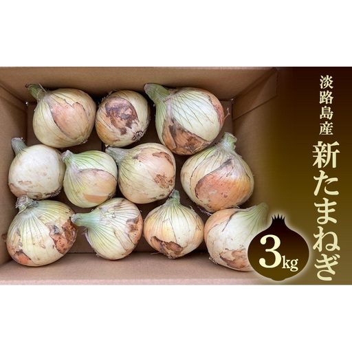 淡路島産新玉ねぎ 3kg 兵庫県 洲本市 淡路島