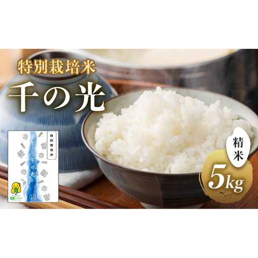 特別栽培米 「 千の光 」 ( 精米 ) 5kg 米 お米 ごはん 特別栽培 兵庫県 洲本市 淡路島 鮎原塔下