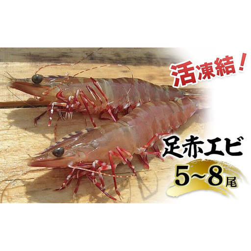 活凍結シリーズ 活凍結 足赤エビ 5〜8尾×1P エビ えび 海老 魚介 海鮮 高級魚 急速凍結 鮮度保持 真空パック 便利 ギフト 贈答用 兵庫県 洲本市 淡路島