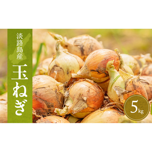 淡路島産玉ねぎ 5kg たまねぎ タマネギ 玉葱 吊り玉 秀品 野菜 新鮮 長持ち カレー シチュー バーベキュー スープ 兵庫県 洲本市 淡路島