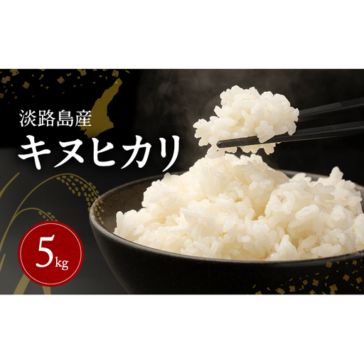 淡路島産キヌヒカリ 5kg 米 コメ おこめ 精米 ごはん ライス 弁当 おにぎり 兵庫県 洲本市 淡路島