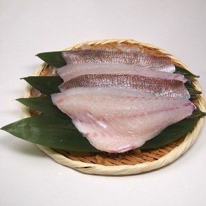 淡路島発 島のさかな屋 花光 検索結果 ふるさと納税サイト ふるなび