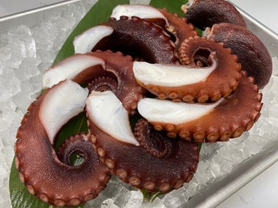 淡路島発 島のさかな屋 花光 検索結果 ふるさと納税サイト ふるなび