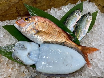 淡路島発 島のさかな屋 花光 検索結果 ふるさと納税サイト ふるなび