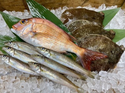 淡路島発 島のさかな屋 花光 検索結果 ふるさと納税サイト ふるなび