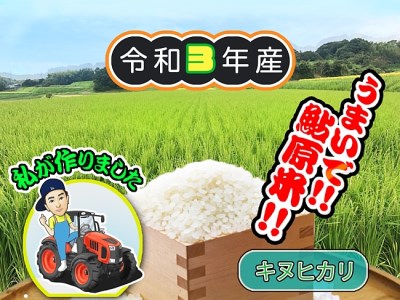 1万円代でkgも 容量別で選ぶ お米 の返礼品特集 ふるさと納税サイト ふるなび