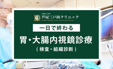 1日で終わる 胃・大腸内視鏡診療 (日帰り) 1名様[芦屋三戸岡クリニック]消化器内視鏡専門クリニック 大腸検査 胃検査 内視鏡検査 大腸がん 大腸ポリープ 胃がん 胃潰瘍 などの 早期発見 早期対策 早期治療 健康 カウンセリング