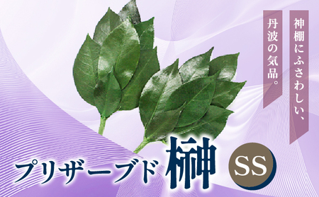 プリザーブド 榊 SSサイズ(1対 2束)[天然 国産 サカキ 神棚 神具 祭壇 玉串 神事 仏壇 仏花 お供え お墓 お盆 お彼岸 新盆 祭 水かえ不要 枯れない プリザーブドフラワー]
